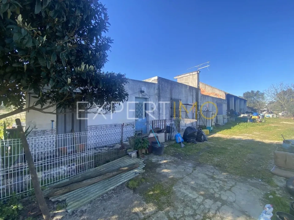 Quinta T3 para Venda em Vale de Santarem Foto 3