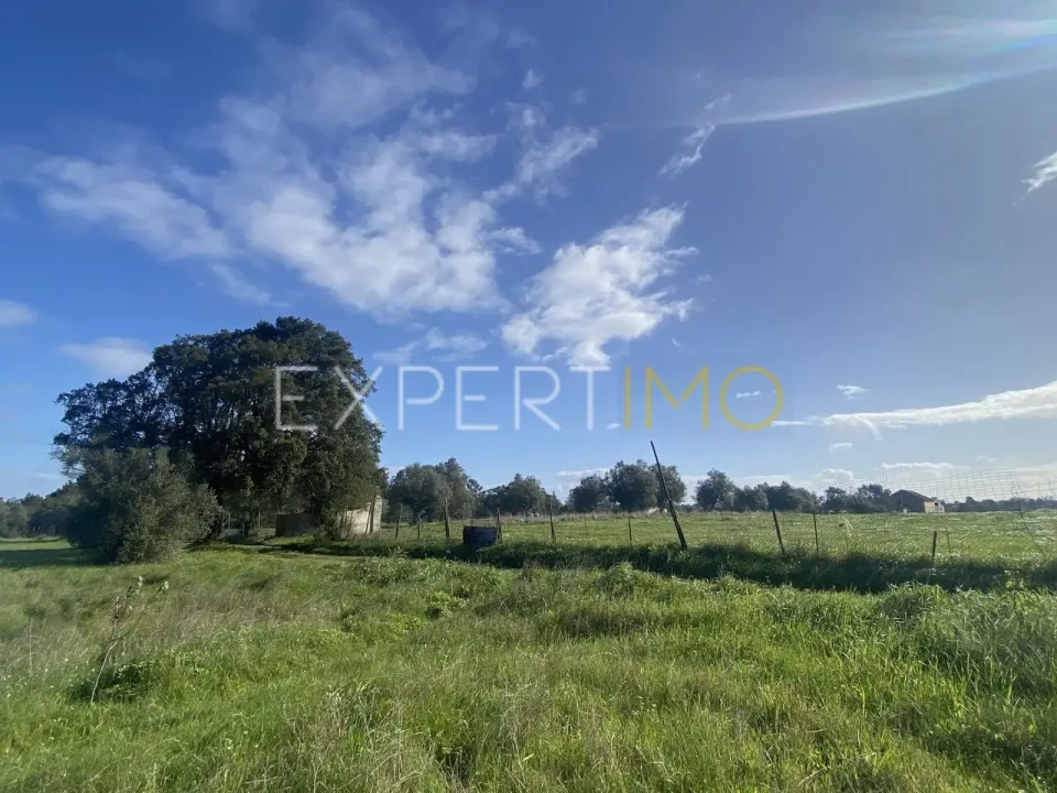 Quinta T3 para Venda em Vale de Santarem Foto 4