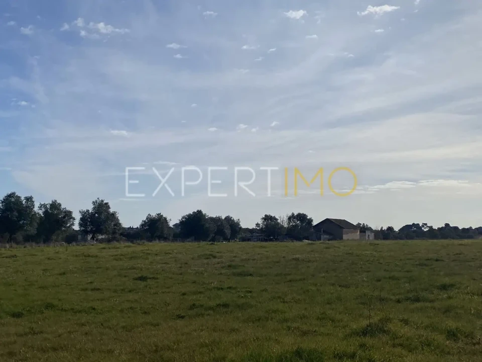 Quinta T3 para Venda em Vale de Santarem Foto 7