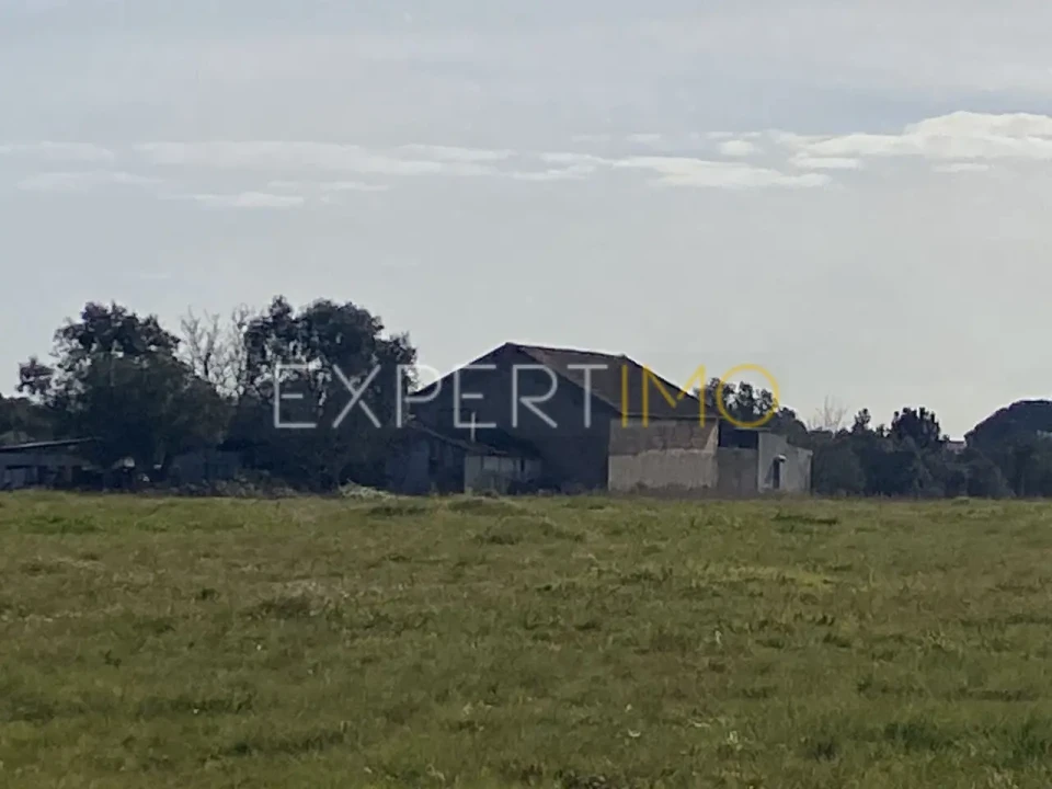 Quinta T3 para Venda em Vale de Santarem Foto 8