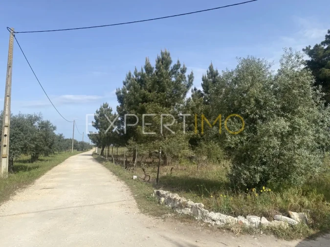 Quinta T3 para Venda em Vale de Santarem Foto 12