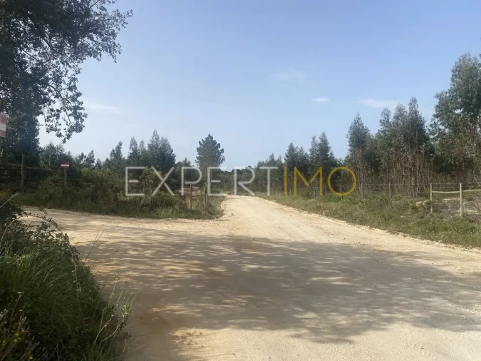 Quinta T3 para Venda em Vale de Santarem Foto 15