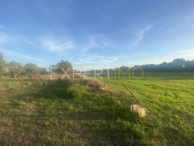 Quinta T3 para Venda em Vale de Santarem Foto 18