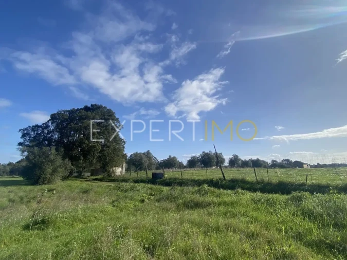 Quinta T3 para Venda em Vale de Santarem Foto 4