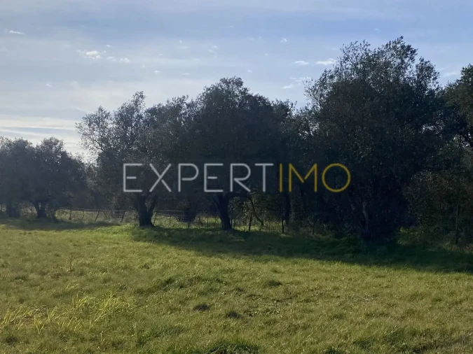 Quinta T3 para Venda em Vale de Santarem Foto 5