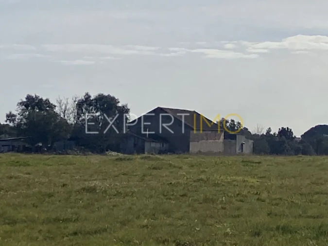 Quinta T3 para Venda em Vale de Santarem Foto 8