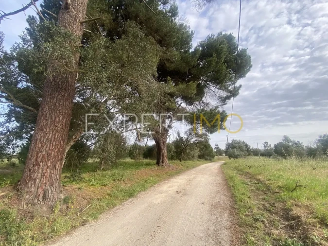 Quinta T3 para Venda em Vale de Santarem Foto 9