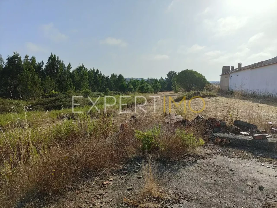 Terreno para Venda em Manique do Intendente, Vila Nova de São Pedro e Maçussa Foto 10