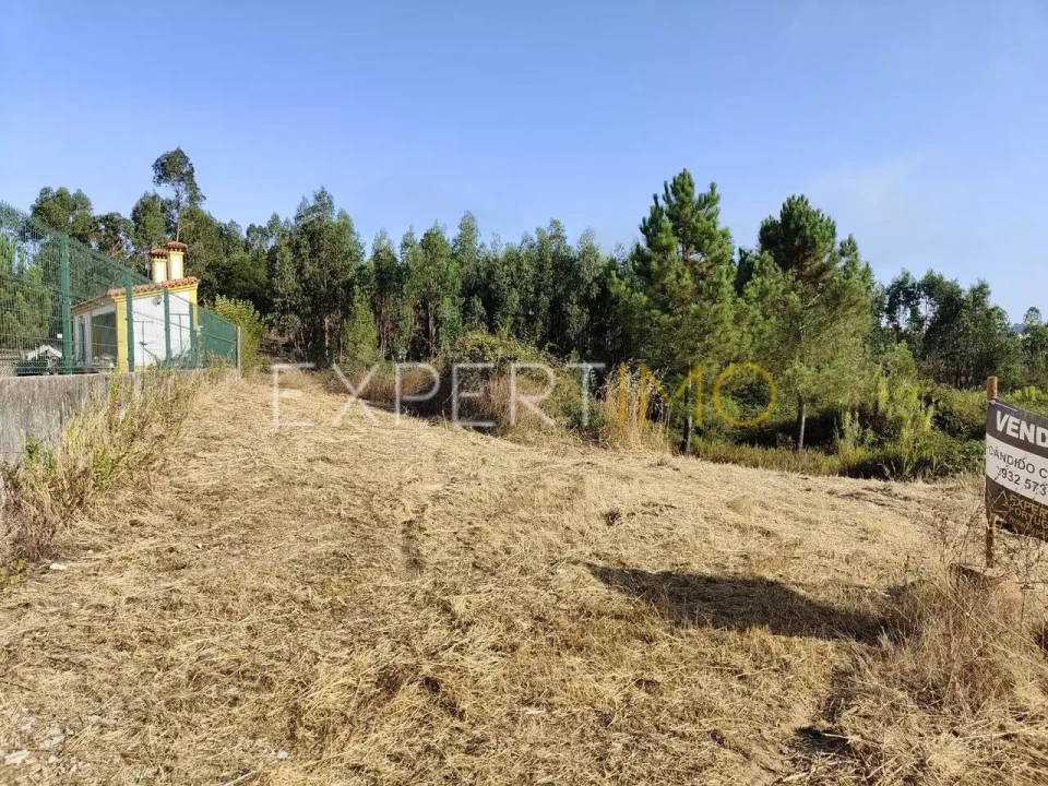 Terreno para Venda em Manique do Intendente, Vila Nova de São Pedro e Maçussa Foto 11