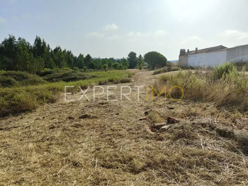 Terreno para Venda em Manique do Intendente, Vila Nova de São Pedro e Maçussa Foto 13