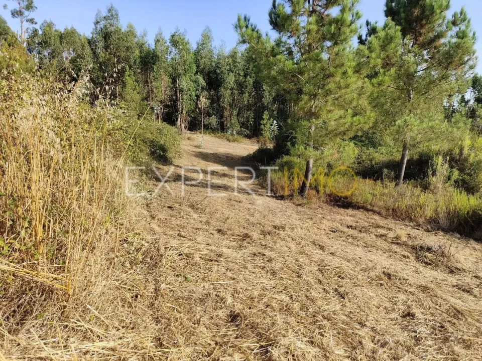 Terreno para Venda em Manique do Intendente, Vila Nova de São Pedro e Maçussa Foto 15