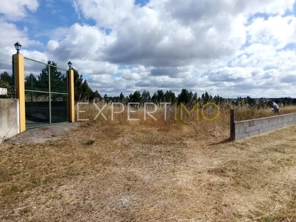 Terreno para Venda em Manique do Intendente, Vila Nova de São Pedro e Maçussa Foto 2