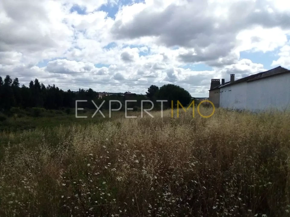 Terreno para Venda em Manique do Intendente, Vila Nova de São Pedro e Maçussa Foto 4