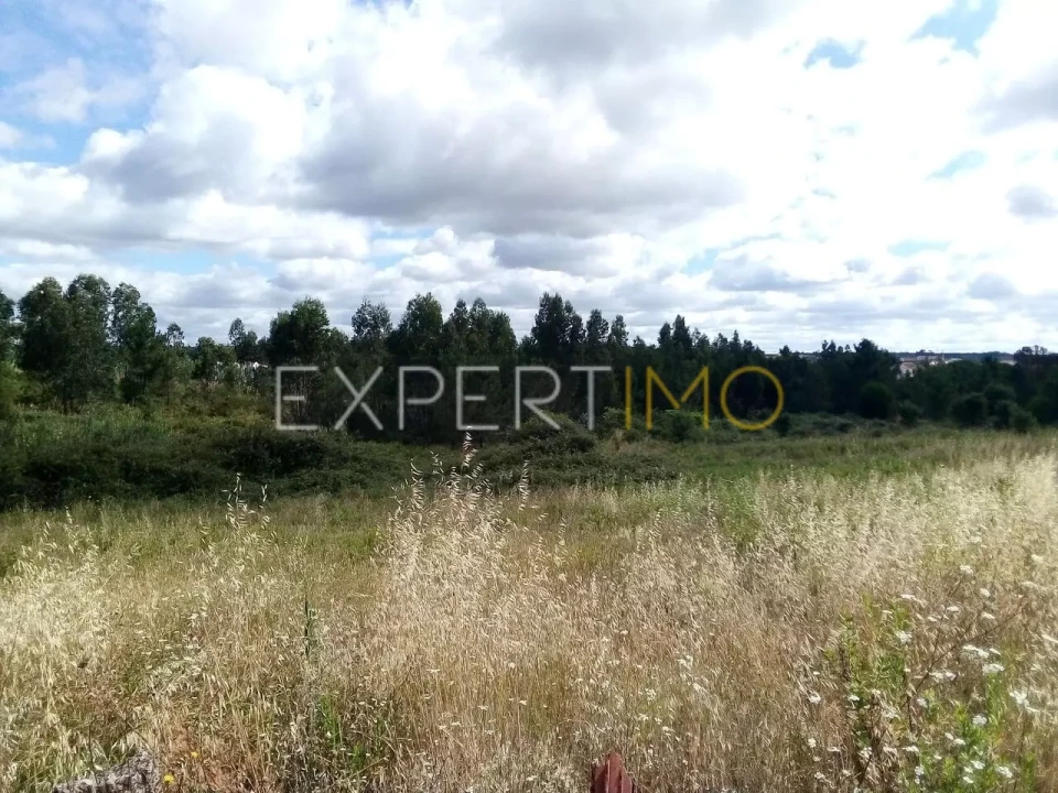 Terreno para Venda em Manique do Intendente, Vila Nova de São Pedro e Maçussa Foto 5