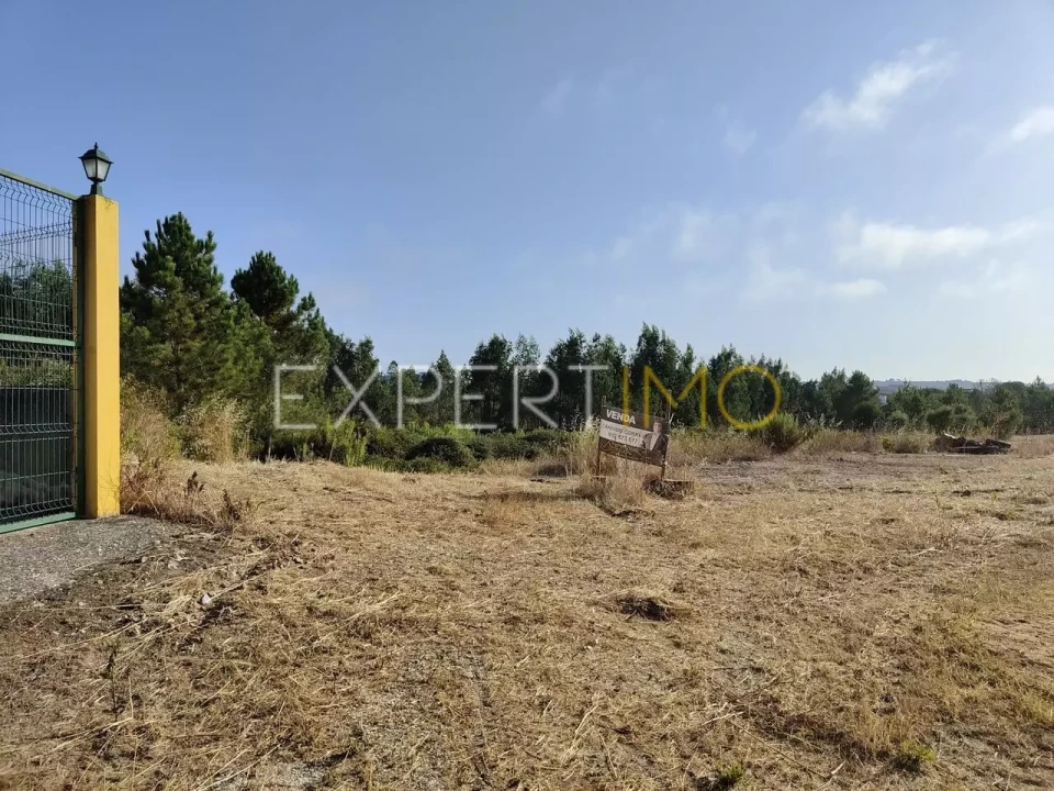Terreno para Venda em Manique do Intendente, Vila Nova de São Pedro e Maçussa Foto 7