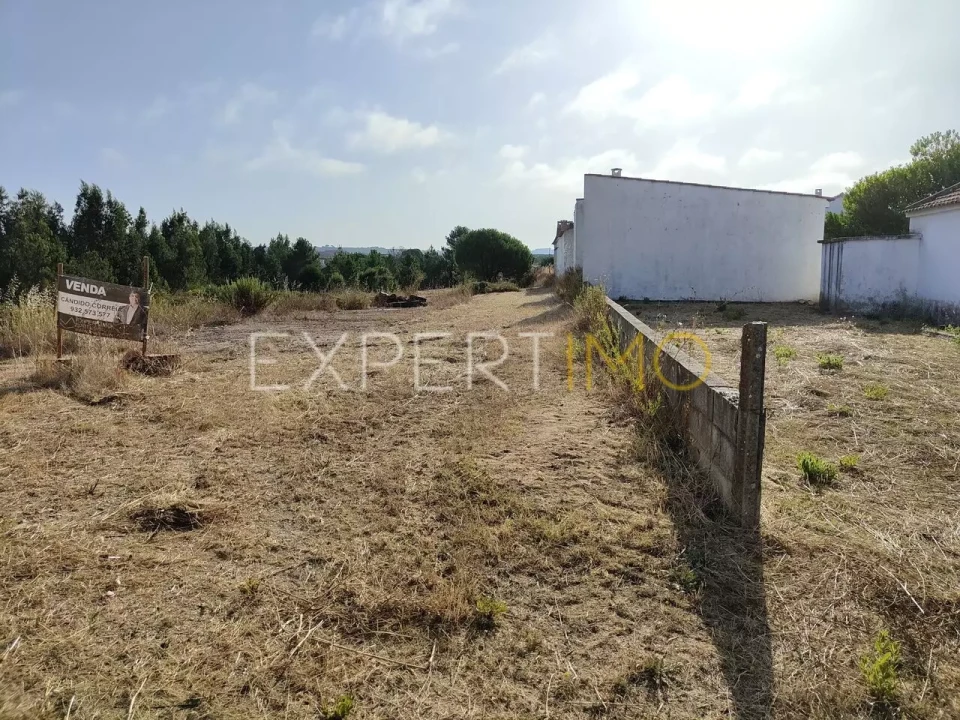 Terreno para Venda em Manique do Intendente, Vila Nova de São Pedro e Maçussa Foto 9