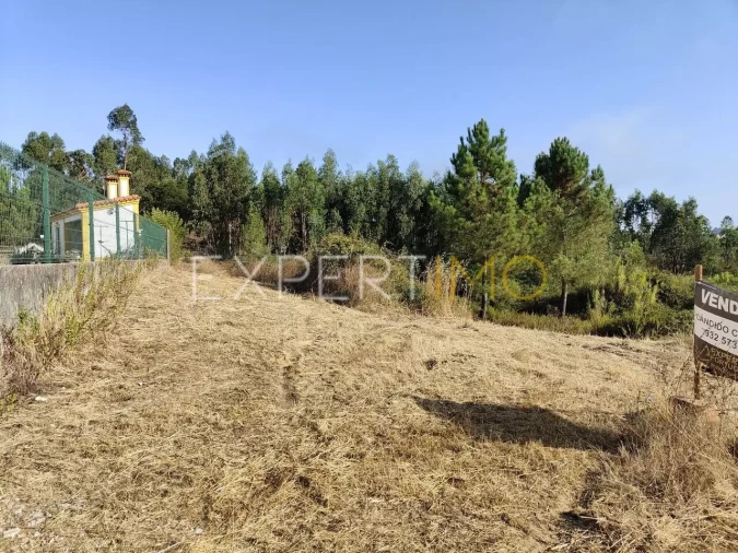 Terreno para Venda em Manique do Intendente, Vila Nova de São Pedro e Maçussa Foto 11