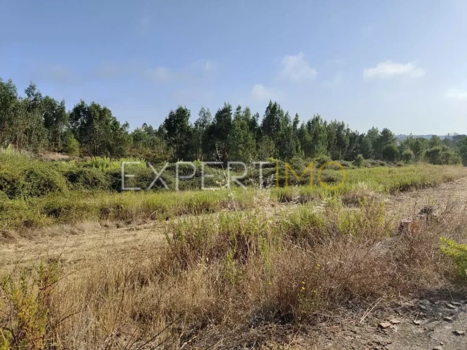 Terreno para Venda em Manique do Intendente, Vila Nova de São Pedro e Maçussa Foto 12