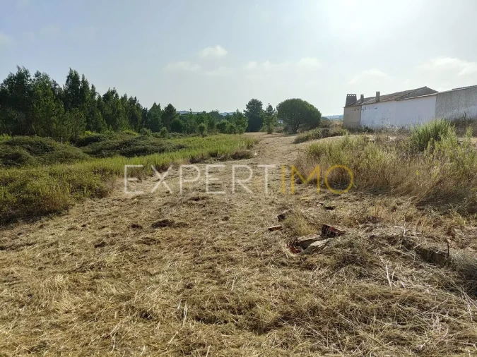 Terreno para Venda em Manique do Intendente, Vila Nova de São Pedro e Maçussa Foto 13