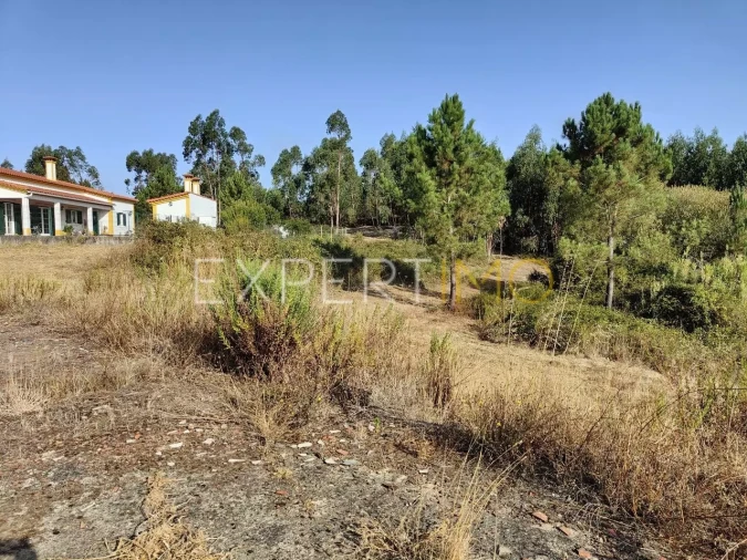 Terreno para Venda em Manique do Intendente, Vila Nova de São Pedro e Maçussa Foto 14