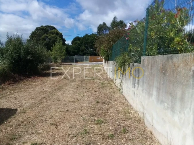 Terreno para Venda em Manique do Intendente, Vila Nova de São Pedro e Maçussa Foto 3