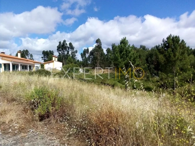 Terreno para Venda em Manique do Intendente, Vila Nova de São Pedro e Maçussa Foto 6
