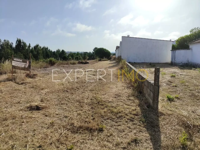 Terreno para Venda em Manique do Intendente, Vila Nova de São Pedro e Maçussa Foto 9
