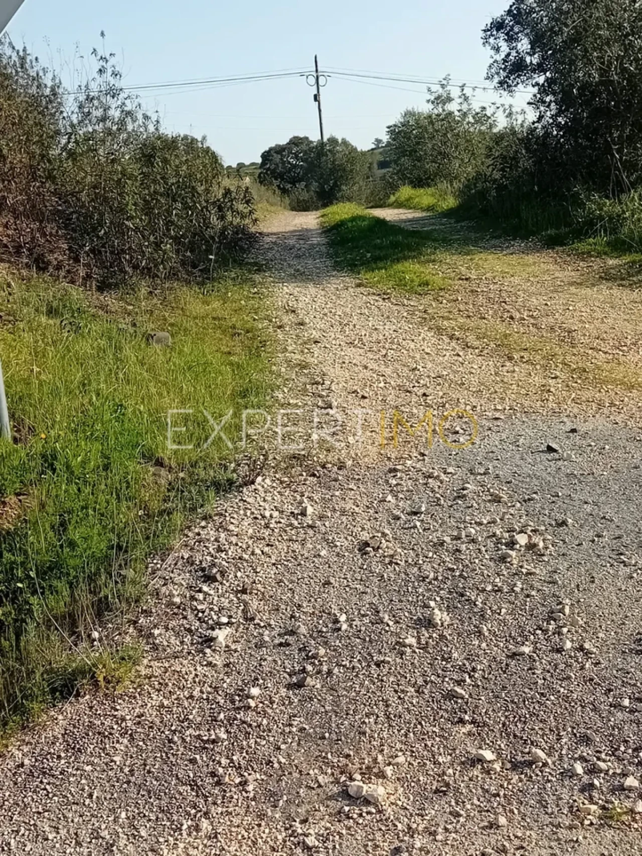 Quinta T3 para Venda em São Bartolomeu de Messines Foto 10