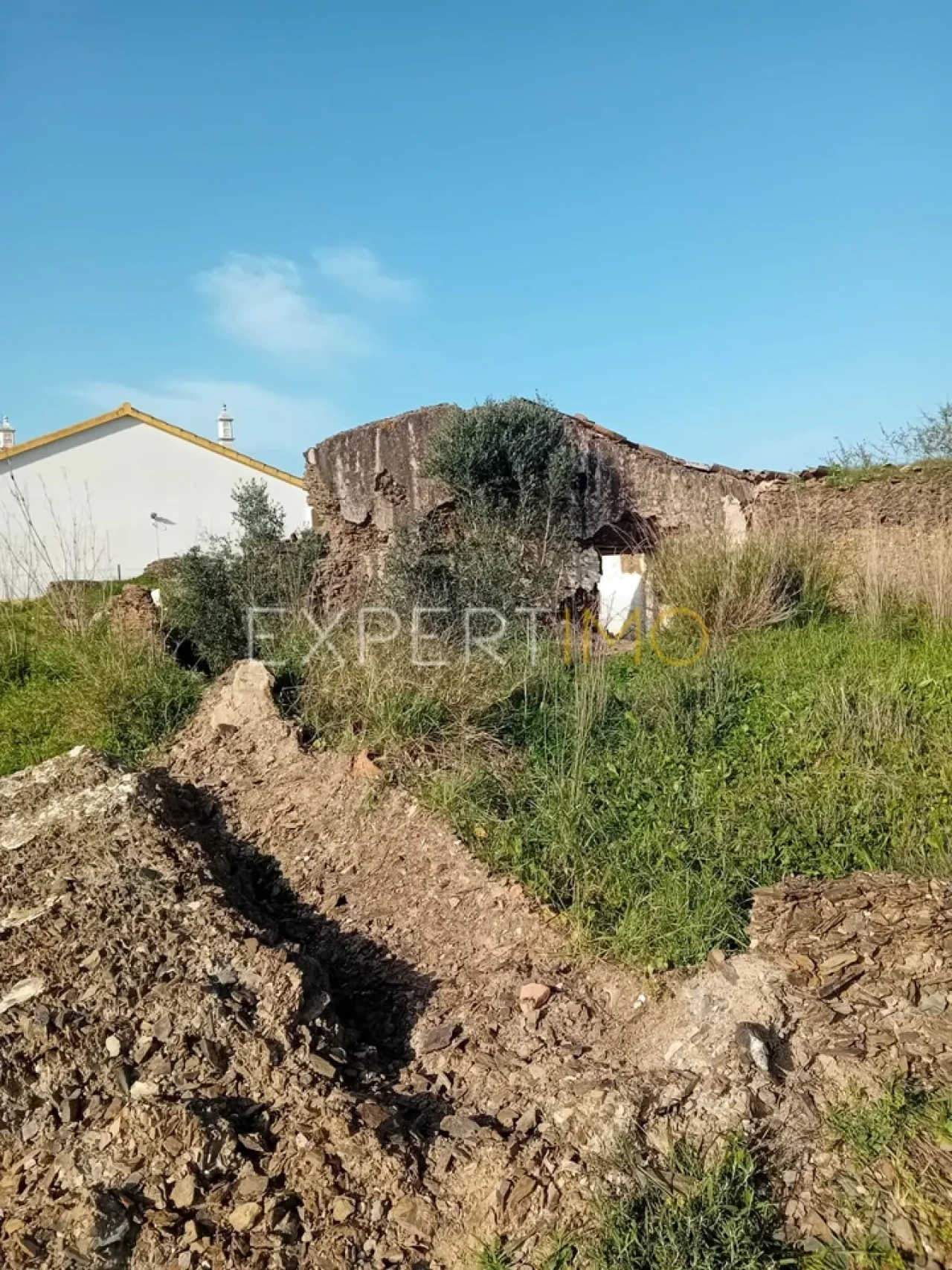 Quinta T3 para Venda em São Bartolomeu de Messines Foto 13