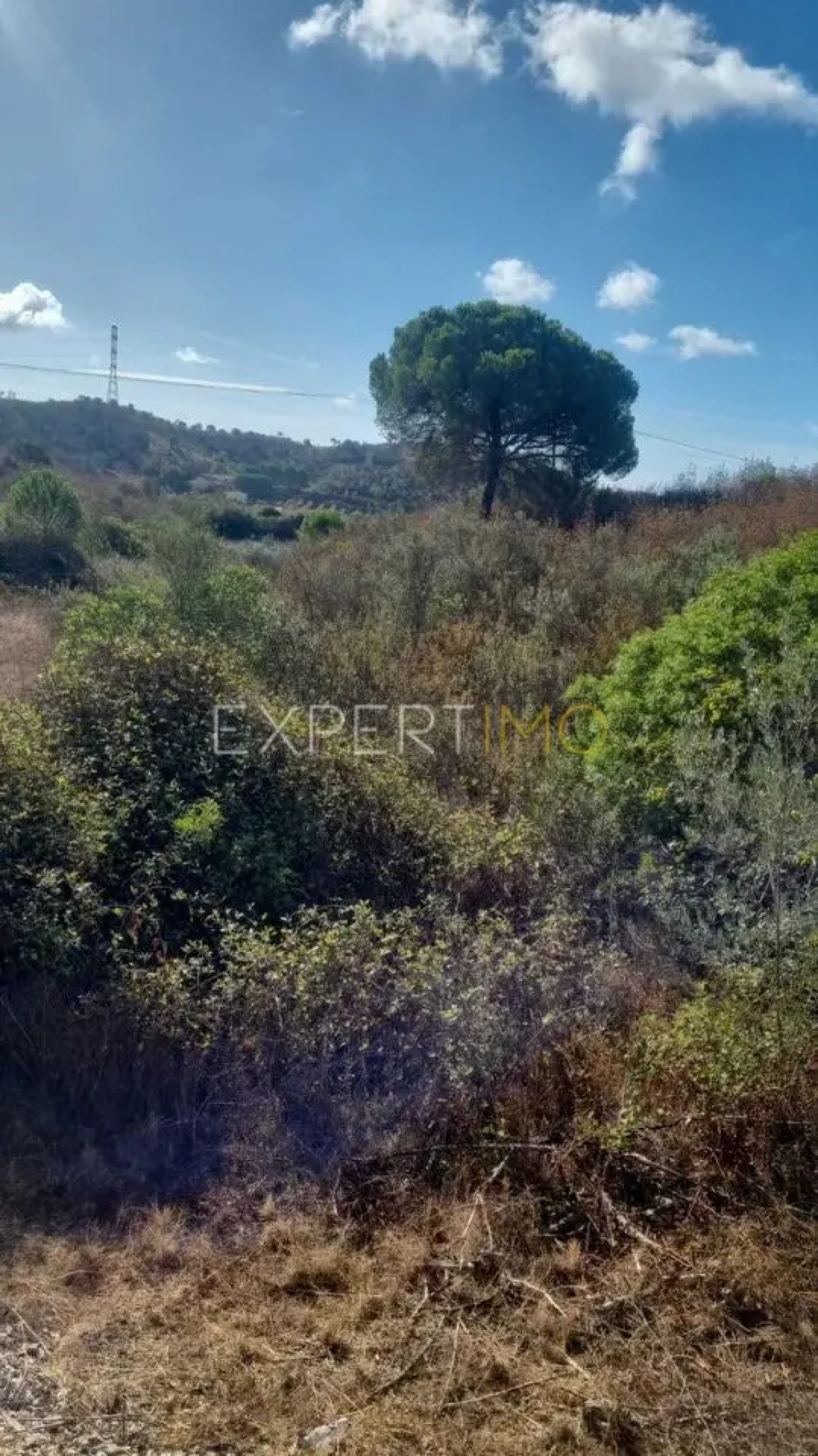 Quinta T3 para Venda em São Bartolomeu de Messines Foto 16