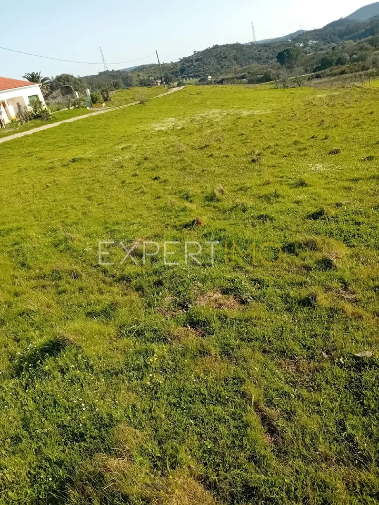 Quinta T3 para Venda em São Bartolomeu de Messines Foto 18