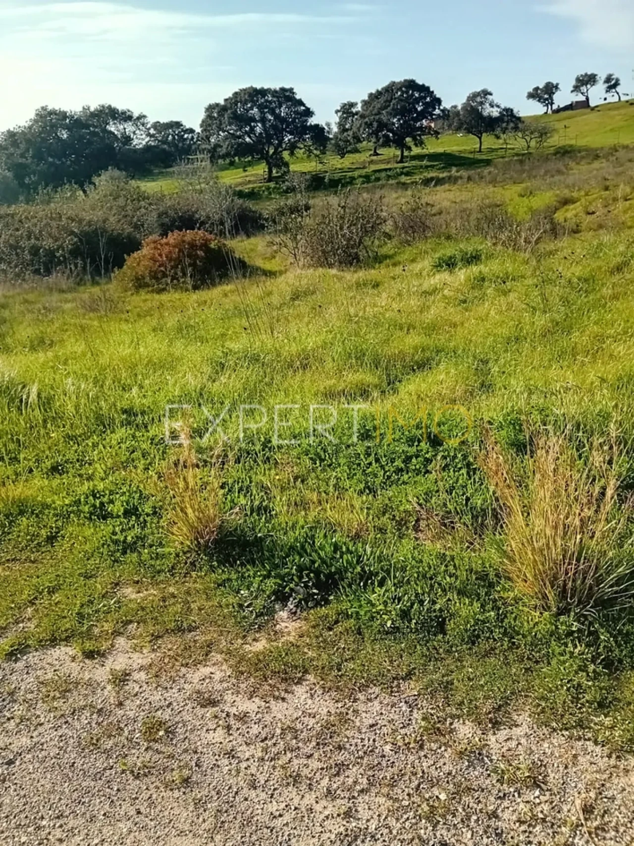 Quinta T3 para Venda em São Bartolomeu de Messines Foto 9