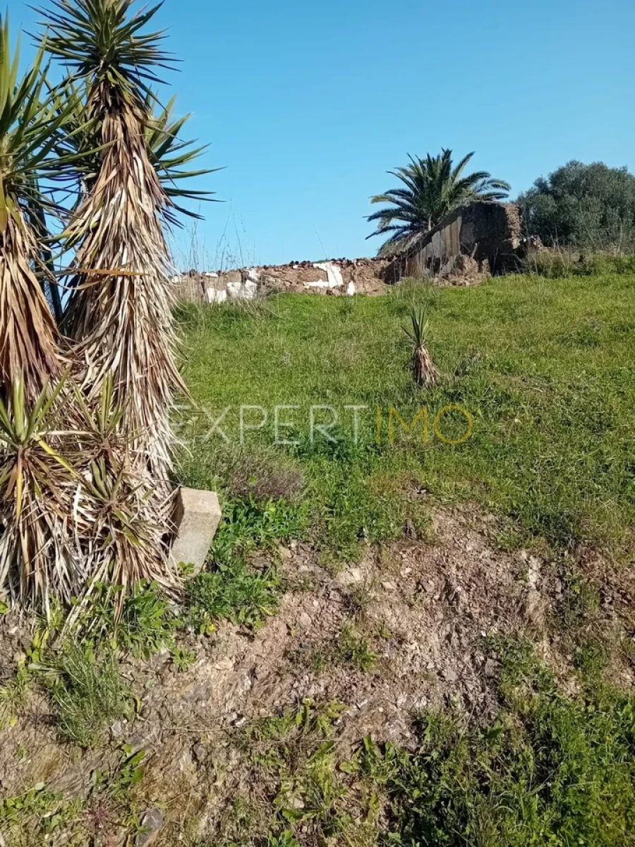 Quinta T3 para Venda em São Bartolomeu de Messines Foto 12