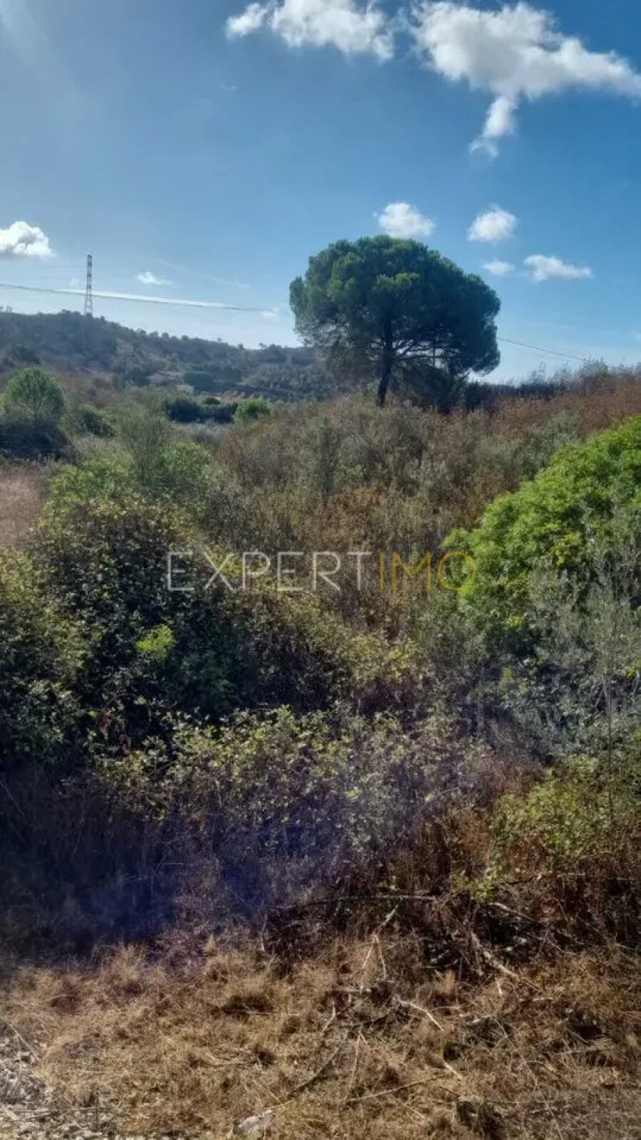 Quinta T3 para Venda em São Bartolomeu de Messines Foto 16