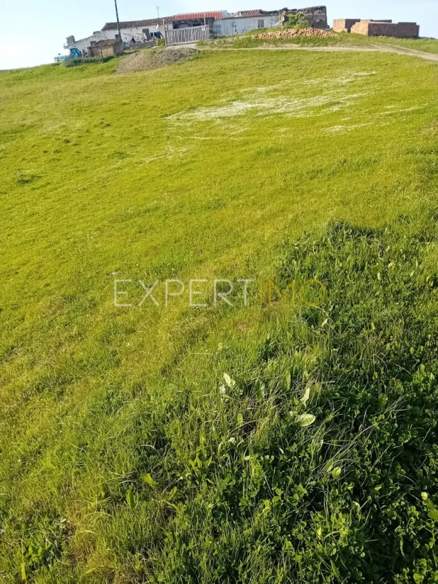 Quinta T3 para Venda em São Bartolomeu de Messines Foto 19
