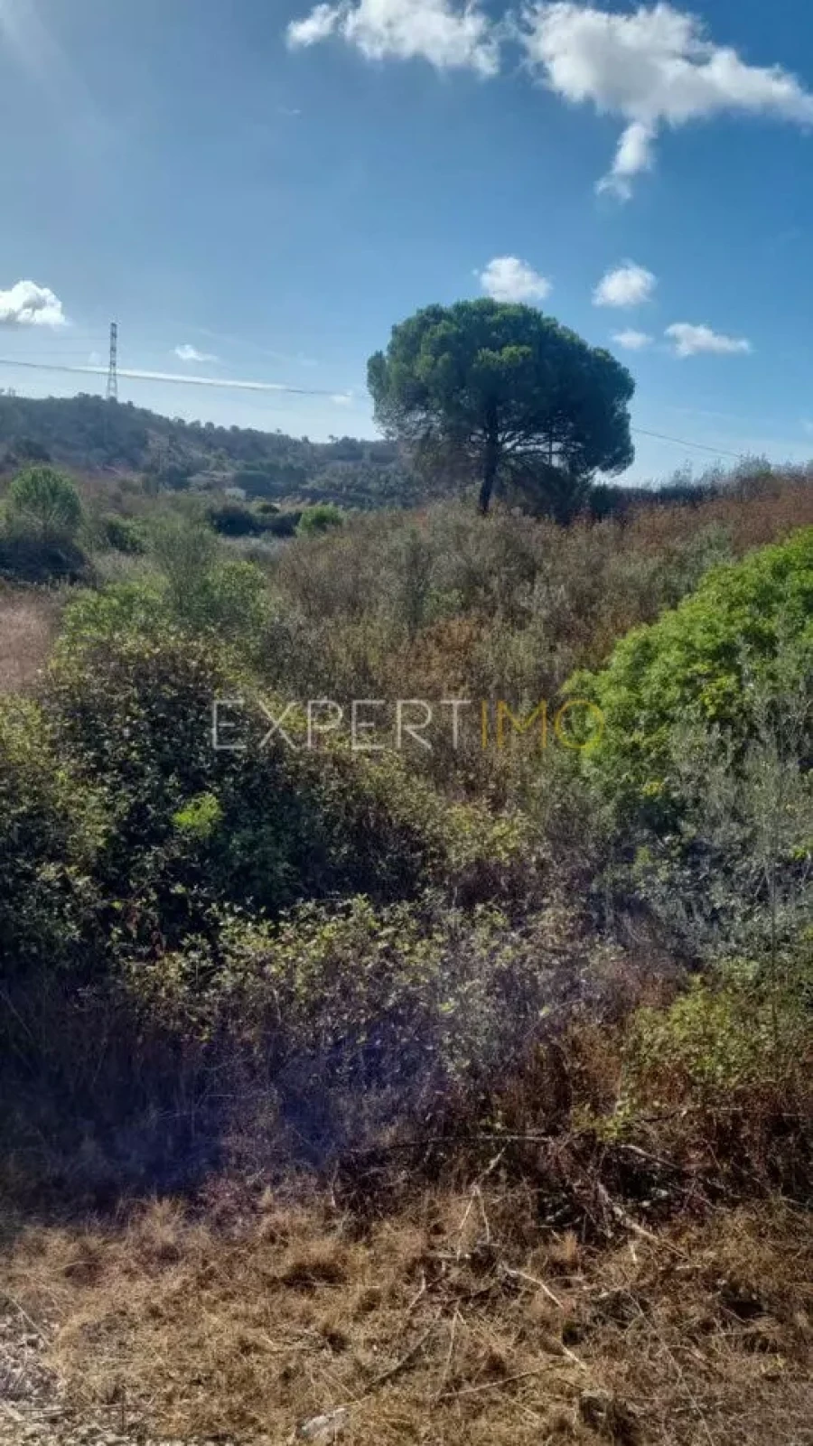 Quinta T3 para Venda em São Bartolomeu de Messines Foto 8