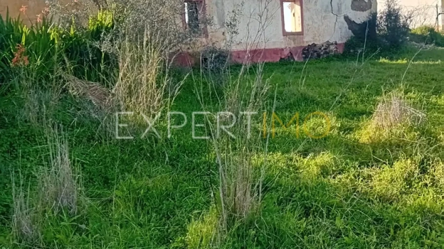 Quinta T3 para Venda em São Bartolomeu de Messines