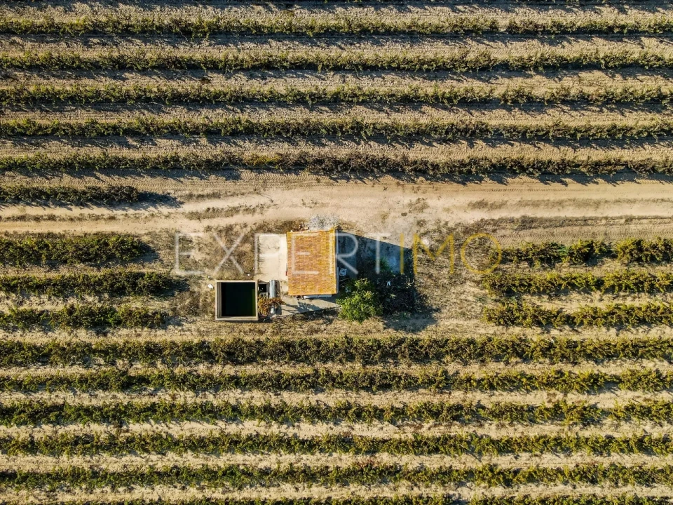 Terreno para Venda em Palmela Foto 2