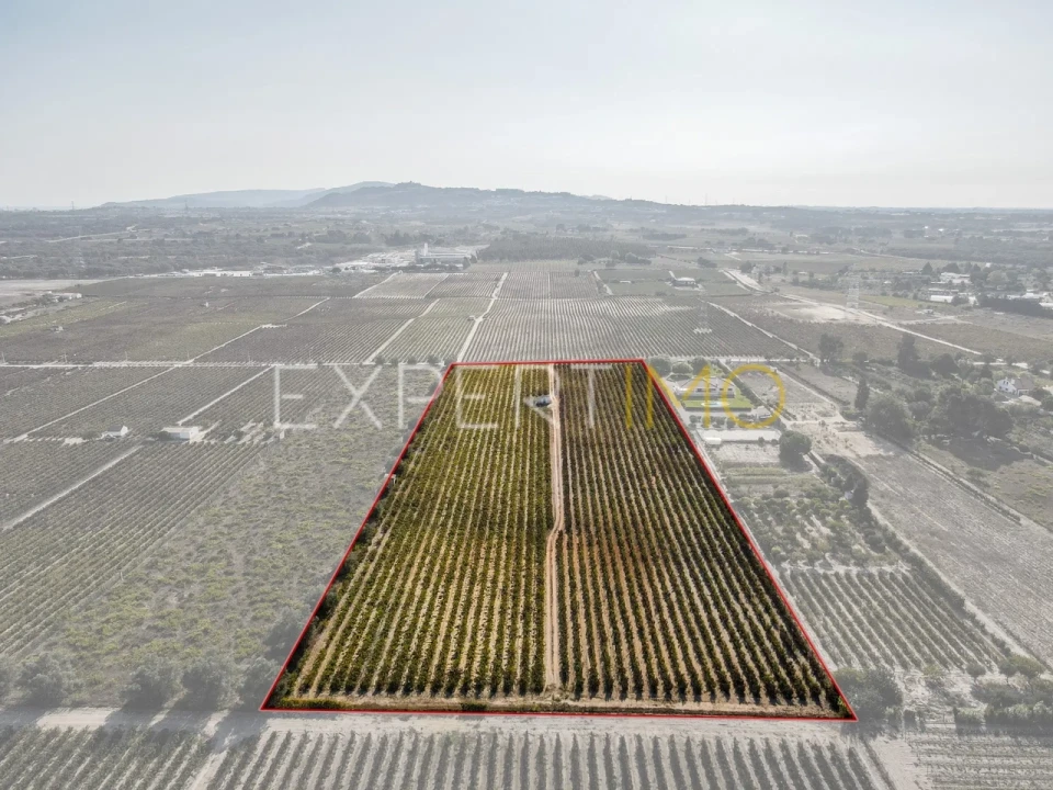 Terreno para Venda em Palmela Foto 6