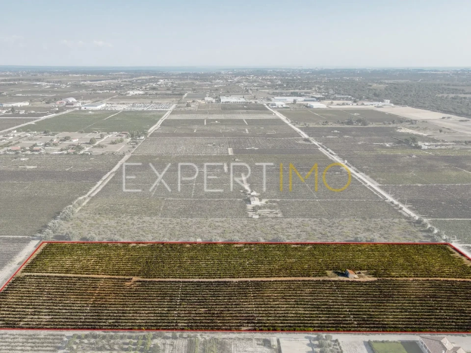 Terreno para Venda em Palmela Foto 8