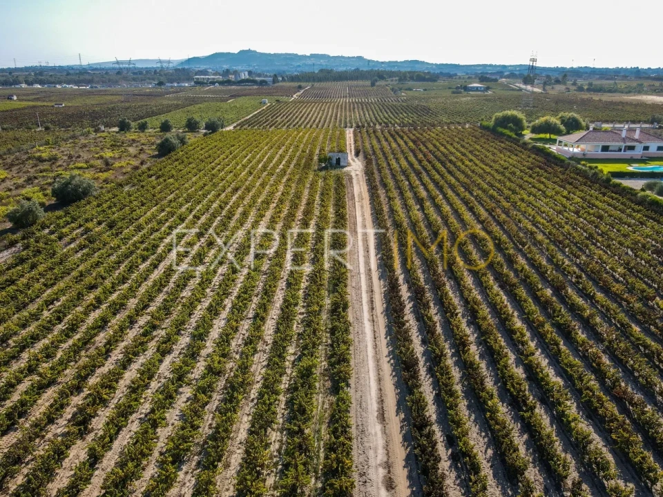 Terreno para Venda em Palmela Foto 10