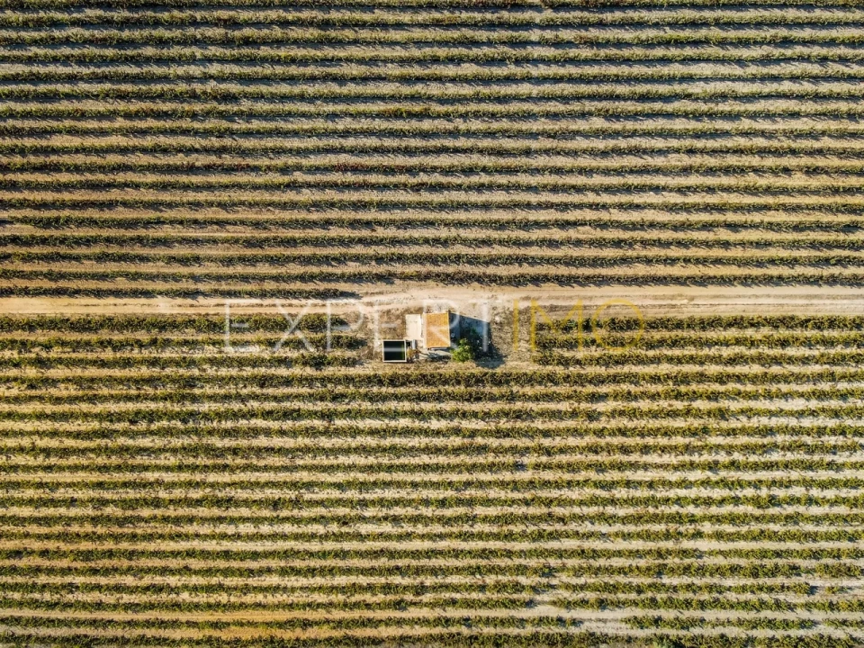 Terreno para Venda em Palmela Foto 12