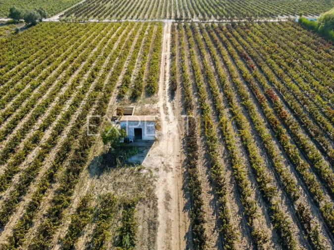 Terreno para Venda em Palmela Foto 1