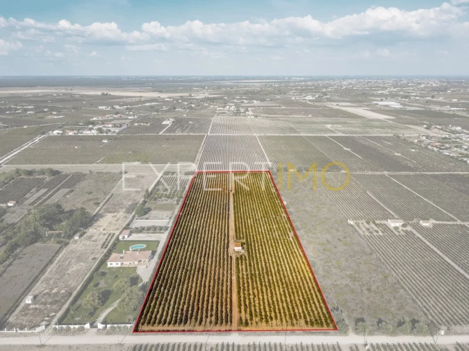 Terreno para Venda em Palmela Foto 4