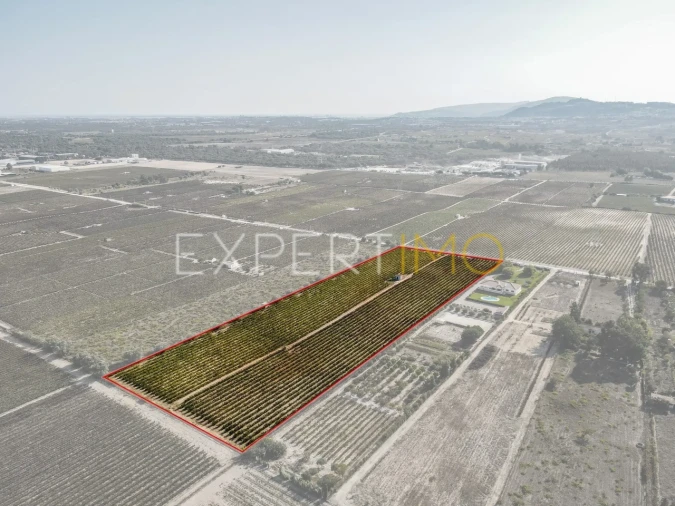 Terreno para Venda em Palmela Foto 7