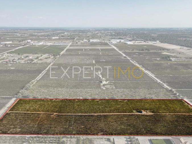 Terreno para Venda em Palmela Foto 8