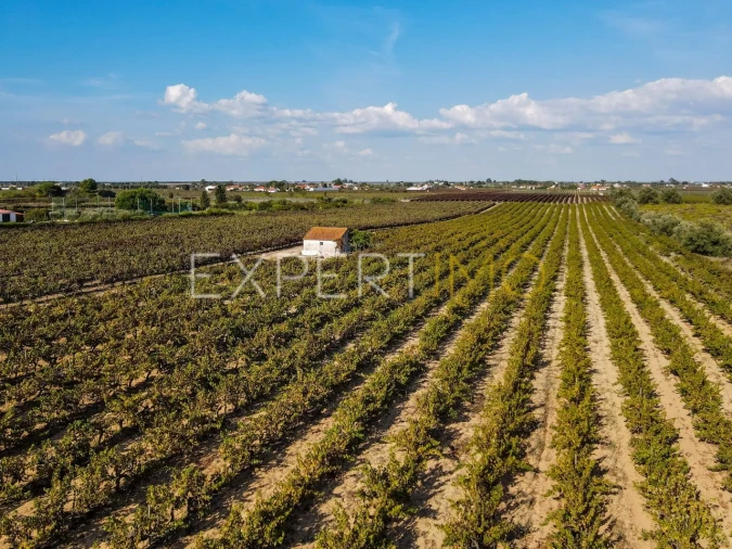 Terreno para Venda em Palmela Foto 9