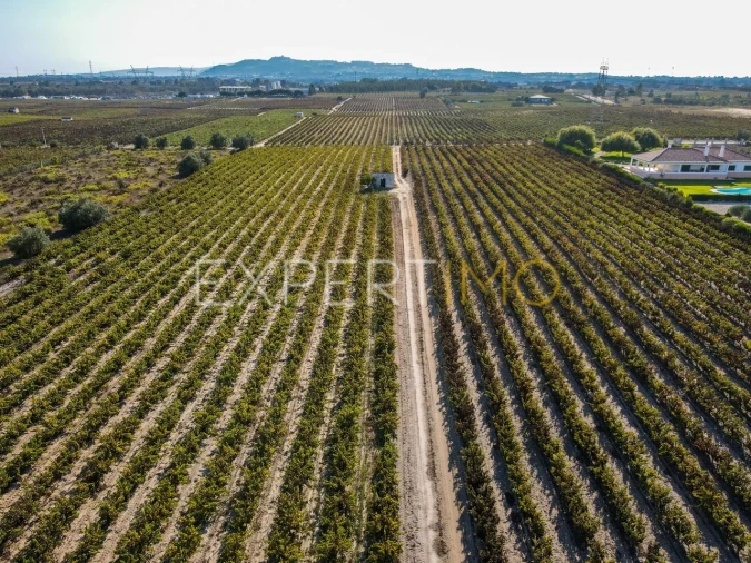 Terreno para Venda em Palmela Foto 10