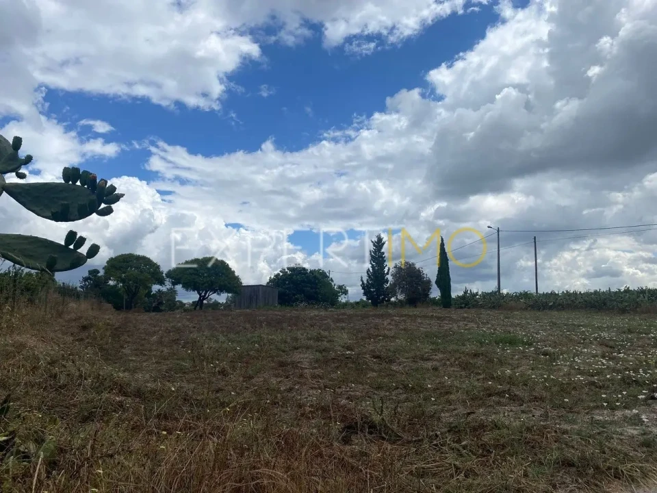 Terreno para Venda em Pegões Foto 1