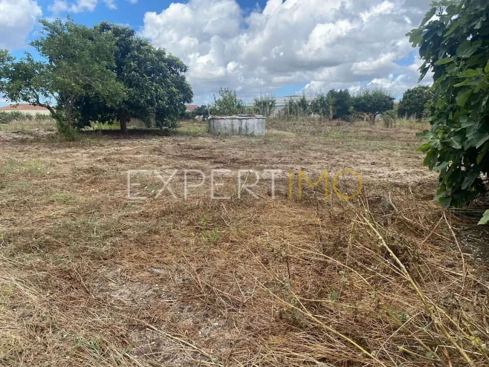 Terreno para Venda em Pegões Foto 3